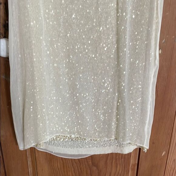 Elijah Cream Crystal and sequin embellished Sleeveless Silk shift Dress NWT - Picture 9 of 12